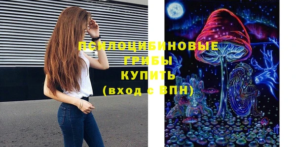 ПСИЛОЦИБИНОВЫЕ ГРИБЫ Приозерск