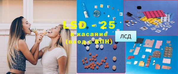 прущие грибы Аркадак